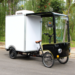 Vélo cargo <span class=keywords><strong>électrique</strong></span> à quatre roues avec glacière, longue autonomie, <span class=keywords><strong>pour</strong></span> livraison urbaine, avec toit de chargement - Product Image 3