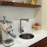 Robinet de cuisine moderne en acier inoxydable à poignée unique avec douchette extractible pour évier