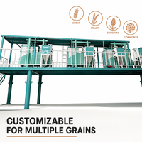 Machine de tri automatique pour céréales et farine : tamiseuse pour le classement de la poudre de blé, maïs, millet et sorgho