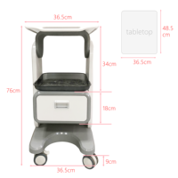 Chariot de Salon Portable, Chariot de Spa, Station de Travail en ABS avec Roues, 2 Tiroirs, Étagère Roulante pour Instruments de Beauté et de Tatouage