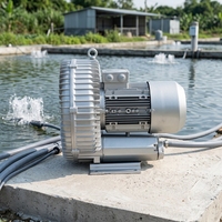 Penjualan Terlaris 5.4 HP 4/4.6kW Blower Regeneratif Tekanan Tinggi Ring Air Blower untuk Sistem Aerasi Tambak Ikan Akuakultur