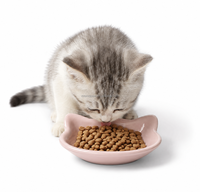 MoMoPaw Tapis de léchage pour chat en céramique de qualité alimentaire, forme chat, compatible lave-vaisselle, pour alimentation lente