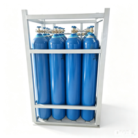 Bouteille de gaz argon 40L, réservoir sous pression en acier sans soudure haute pression pour le stockage d'oxygène, d'hydrogène et d'azote