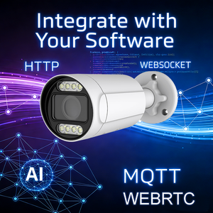 Custom 5MP 8MP IP Camera ON-VIF 4K Security CCTV Outdoor POE Camera WebRTC MQTT RTSP RTMP With SDK API