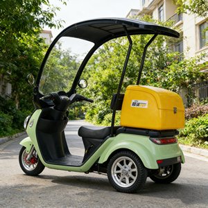 Practical/durable and stylish >1000W/non-slip and wear-resistant tires/Adult Electric Tricycle A30 - Product Image 1