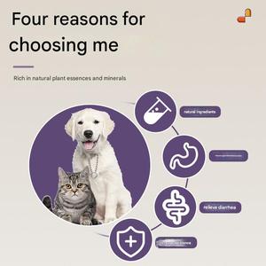 Integratore Nutrizionale Liquido per Animali Domestici, Migliora Diarrea e Vomito in Cani e <span class=keywords><strong>Gatti</strong></span>, Rafforza la Resistenza Gastrointestinale - Product Image 5