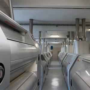 Harina de trigo de alta calidad hecha en Italia 00MD W 290/320 proteínas 13,50/14,50 Ideal para pizza para panadería BOLSA DE 25 KG - Product Image 6