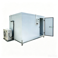 Grote capaciteit modulaire walk-in vriescel met digitale temperatuurregelaar voor diepvriesdumplings in een voedselverwerkingsbedrijf