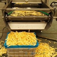 Automatische industriële friteuse van roestvrij staal 304 voor aardappelchips, frieten en fruit, capaciteit 200 kg/uur, continue snackverwerking