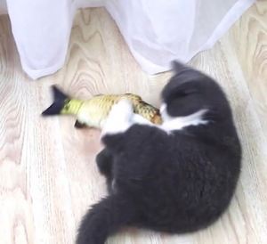 Simulación de forma de pez, juguete de hierba gatera esponjosa realista, almohada interactiva para mascotas, suministros para morder para masticar para gato - Product Image 4