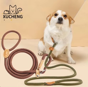 Zware Gevlochten Slip Loden Hondenriem Verstelbare Lus Kraag Training Snap Haak Linten Nylon Ontsnapping Hondenriem - Product Image 1