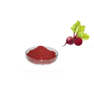 spray dried beet root powder beetroot concentrate juice