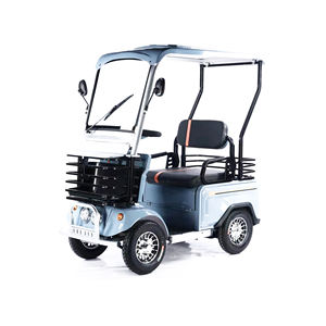 Offre Spéciale 4 roues Scooter électrique de mobilité 60V 800W puissant moteur longue portée ville âgée <span class=keywords><strong>vélo</strong></span> électrique avec toit - Product Image 1