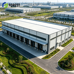 Centre de distribution logistique modulaire en acier préfabriqué à portée libre pour entrepôt de stockage - Product Image 1