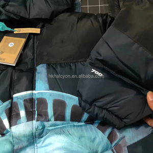 Nort * TNF Suprem * Estatua Libertad Nueva Chaqueta de algodón Casual Cálido a prueba de viento Chaqueta deportiva con capucha - Product Image 4