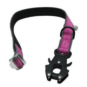 Laisse Courte Anti-Traction pour Chien, Tendance et Solide, avec Mousqueton Rapide, Logo et Couleur Personnalisables, en Nylon Durable - Product Image 2