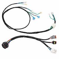 Ensemble de câbles de faisceau de câblage automobile personnalisé avec connecteurs multipolaires et bornes annulaires pour système électrique de moto
