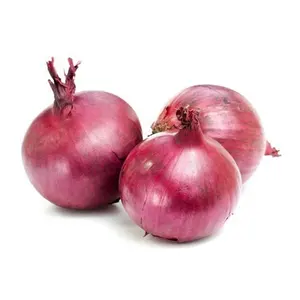 Fresh Red Onions 2022 New Crop Factory Wholesale With Cheap Price Chinese Fresh Onion Vegetables Export to Southeast