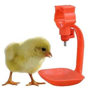 Acqua di pollame automatica per bere tazze bevitore mangiatoia pollo pollo capezzolo bevitore di pollo con tazza di gocciolamento