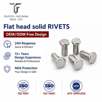 Rivets plats personnalisés TianFang pour supports de machines industrielles, pièces en acier au carbone, avec contrôle de dessin et approvisionnement en gros