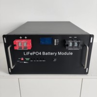 Smsenergy Fabricants de Batteries Lithium-Ion 48V 51.2V Batterie Solaire 100Ah 200Ah 300Ah Boîtier de Batterie LiFePO4 pour Tout Client