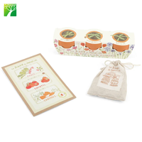 Kit d'outils de jardinage pour enfants, ensemble d'outils de jardinage pour enfants, kit de jardinage en bois pour enfants