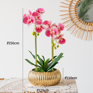 Nouveau style luxe 3D toucher réel phalaenopsis fleur artificielle or en pot <span class=keywords><strong>Dendrobium</strong></span> plante <span class=keywords><strong>Orchidée</strong></span> artificielle en pot - Product Image 3