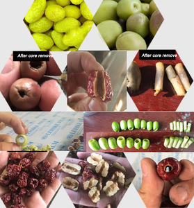 الصناعية زيت الزيتون Pitter تأليب إزالة آلة استخراج - Product Image 6