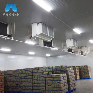Tiết Kiệm Năng Lượng Lạnh Tươi Khoai Tây Táo Trái Cây Rau Đúc Sẵn Lạnh Lưu Trữ Lạnh Phòng Kho Giá - Product Image 4