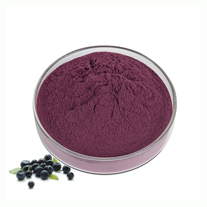Suministro al por Mayor de Polvo de Jugo de Bayas de Açaí Brasileño Puro y Natural, Polvo de Fruta de Bayas de Açaí - Product Image 6