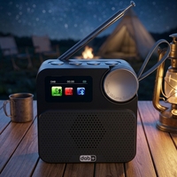 DAB-Radio mit LCD-Display, Wecker, Tragbares Kompaktes Plastikgehäuse, Kabelloses Digitalradio