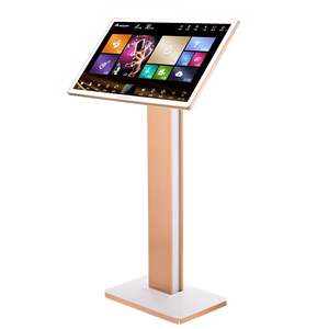 Hot KTV Home InAndOn22 "2TB Reproductor de karaoke Micrófono inalámbrico Escritorio WiFi Máquina de karaoke chino Sistema de karaoke profesional - Product Image 2