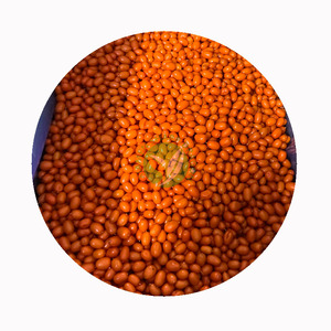 XMSD Espino Amarillo Congelado, Proveedor de Confianza que Ofrece Color, Sabor y Nutrición Consistentes para Grandes Volúmenes Industriales - Product Image 1