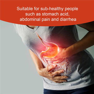 사우스 문 부직포 탈장 관리 패치 10pcs 복통 복부 팽만 완화 패치 - Product Image 4