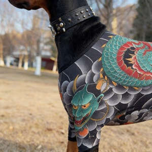 Ropa para mascotas al por mayor con diseño de tatuaje - Traje elástico de cuatro patas para perros Golden <span class=keywords><strong>Retriever</strong></span>, <span class=keywords><strong>Pitbull</strong></span> y Bulldog (Directo de fábrica) - Product Image 4