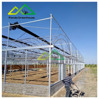 Grande serre multi-chapelles à double arche et double membrane en acier galvanisé à chaud avec panneaux en polycarbonate pour légumes et fruits