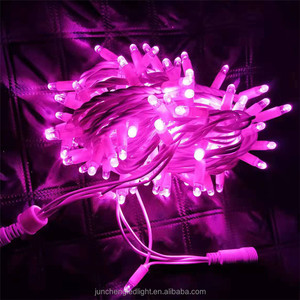 Kabel karet lanskap luar ruangan 10m 100leds lampu tali natal dengan steker UE lampu dekorasi Tahun Baru - Product Image 6