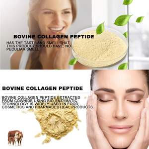 יופי בתפזורת ההלילית מרק עצם הידרו-ליזזה בשר בקר חלבון קולגן פפטידים אבקה - Product Image 3