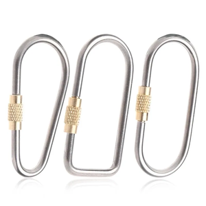 Nouvelle mousquetelle porte-clés en alliage de titane pour <span class=keywords><strong>camping</strong></span>, avec anneau de suspension et crochet de verrouillage - Product Image 1