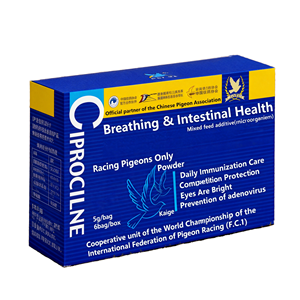 Poudre de mélange pour la santé respiratoire et intestinale des pigeons de course, best-seller, 5g/sachet, pour des yeux brillants et la protection contre l'adenovirus - Product Image 1