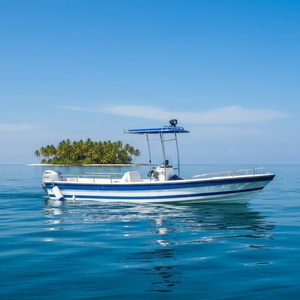 Grandsea - Barco de Pesca Panga de Fibra de Vidrio de 23 pies (7 m), Fabricado en China, Económico, con Consola Central, en Venta - Product Image 6