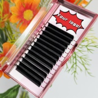 Extensions de cils personnalisées en gros de haute qualité 0.03 0.05 0.07, doux, mats, velours, cachemire, noirs, faciles à poser, en plateaux