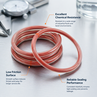 Joints toriques Dlseals FKM résistants aux hautes températures et à l'huile pour injecteurs de carburant et turbocompresseurs automobiles, sur mesure ID/OD OEM