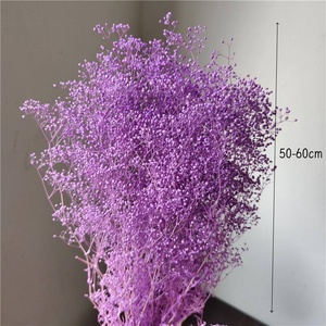 Nouvelle Mini Guirlande <span class=keywords><strong>Ciel</strong></span> Étoilé 2026, avec Poteau Dissimulé, Fleurs Blanches et Roses Fraîchement Conservées, pour Mariage, Fête des Mères, Noël - Product Image 5
