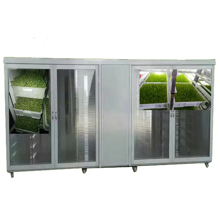 wholesale price automatic mung bean sprouts maker machine sprouted equipment