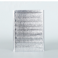 Sac de livraison personnalisé en mousse Epe feuille d'aluminium Sacs isolants portables en feuille d'aluminium paquet isolé