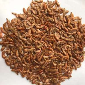 <span class=keywords><strong>Gammarus</strong></span> séchées de g, pour poisson et <span class=keywords><strong>tortue</strong></span>, crevettes séchées - Product Image 4