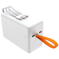 Batterie externe 10000mah 20000mah 30000mah 40000mah 60000mah 80000mah, économique et durable, un essentiel de voyage, vente en gros, usine OEM