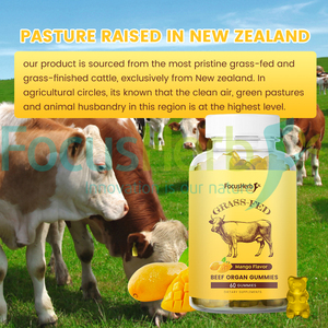 FocusHerb Gummies aux organes de bœuf nourri à l'herbe (foie, cœur, rein, pancréas, rate) - Product Image 5
