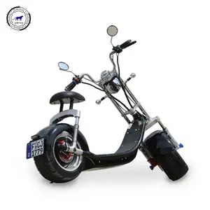 2022 gaz scooter hafif katlanır LEON dünyada elektrikli Scooter, yağ lastik elektrikli scooter